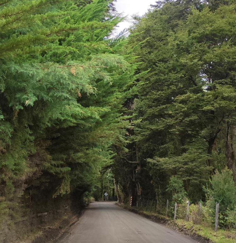 Cabana Ensenada, Puerto Varas - 1 Ambiente Zewnętrze zdjęcie